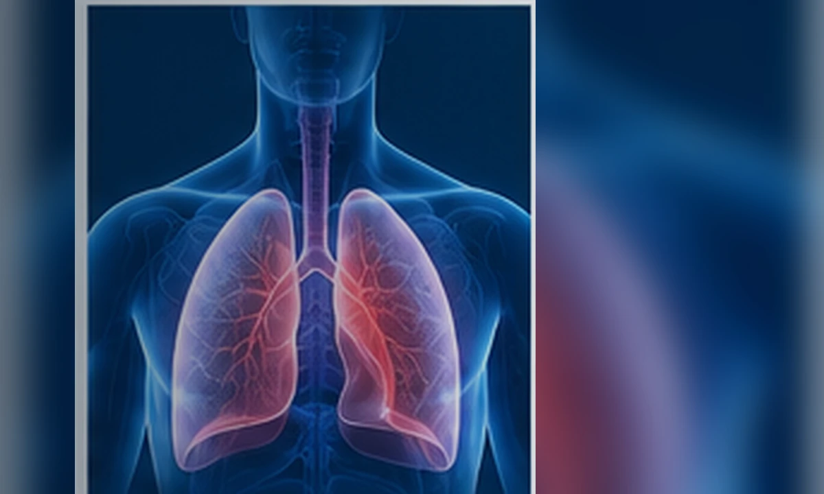 Medical illustration of lung regeneration